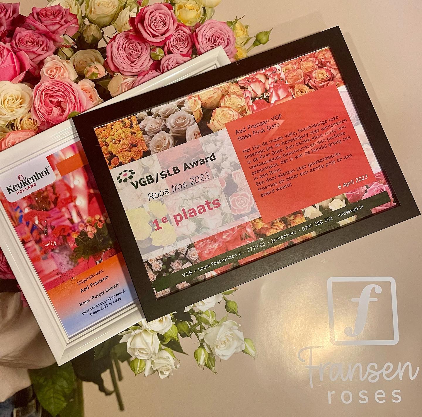 Fransen Roses | De Lier