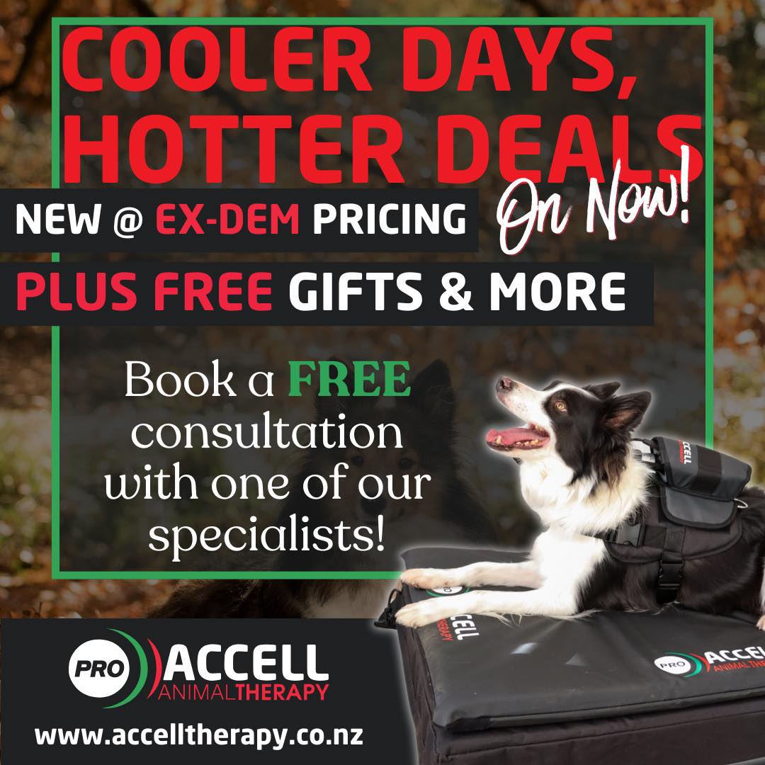 Accell Therapy New Zealand
