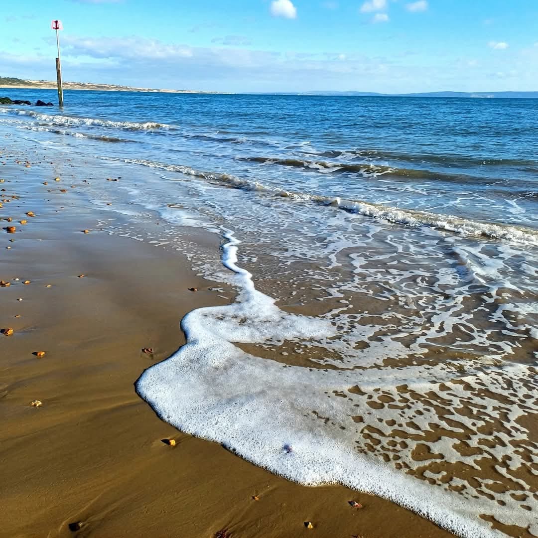 Highcliffe Circular walk