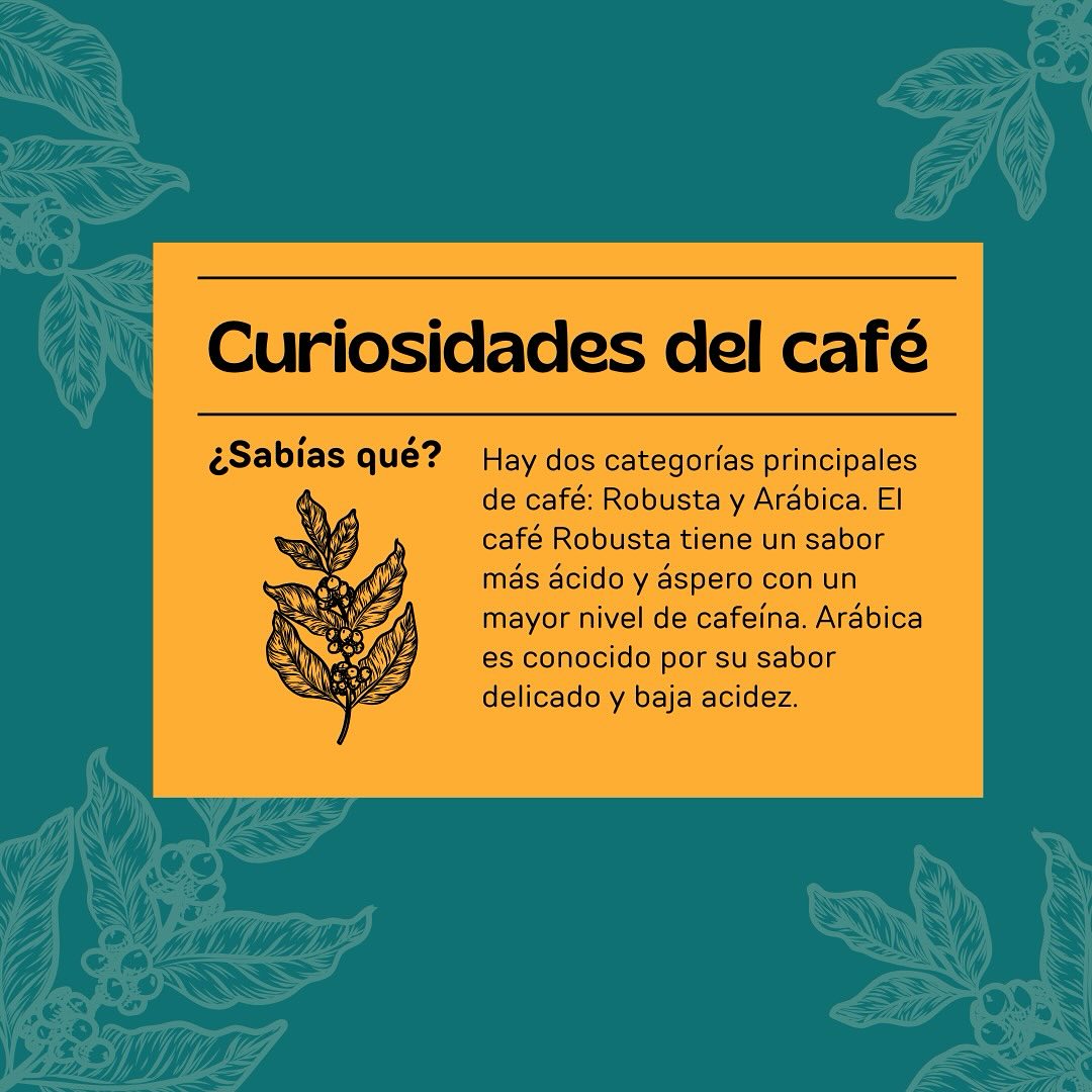 Carlotes Café vlc | Valencia