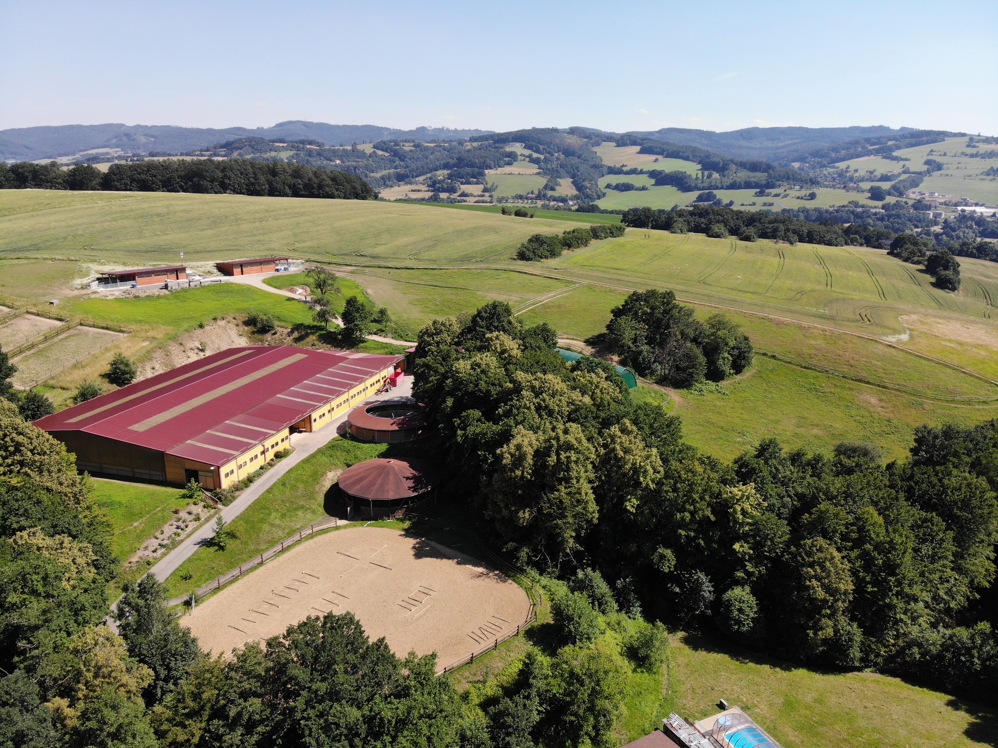 Smart ranch - SK Smart Einstein. Náš plemenný hřebec. Krasavec k ...