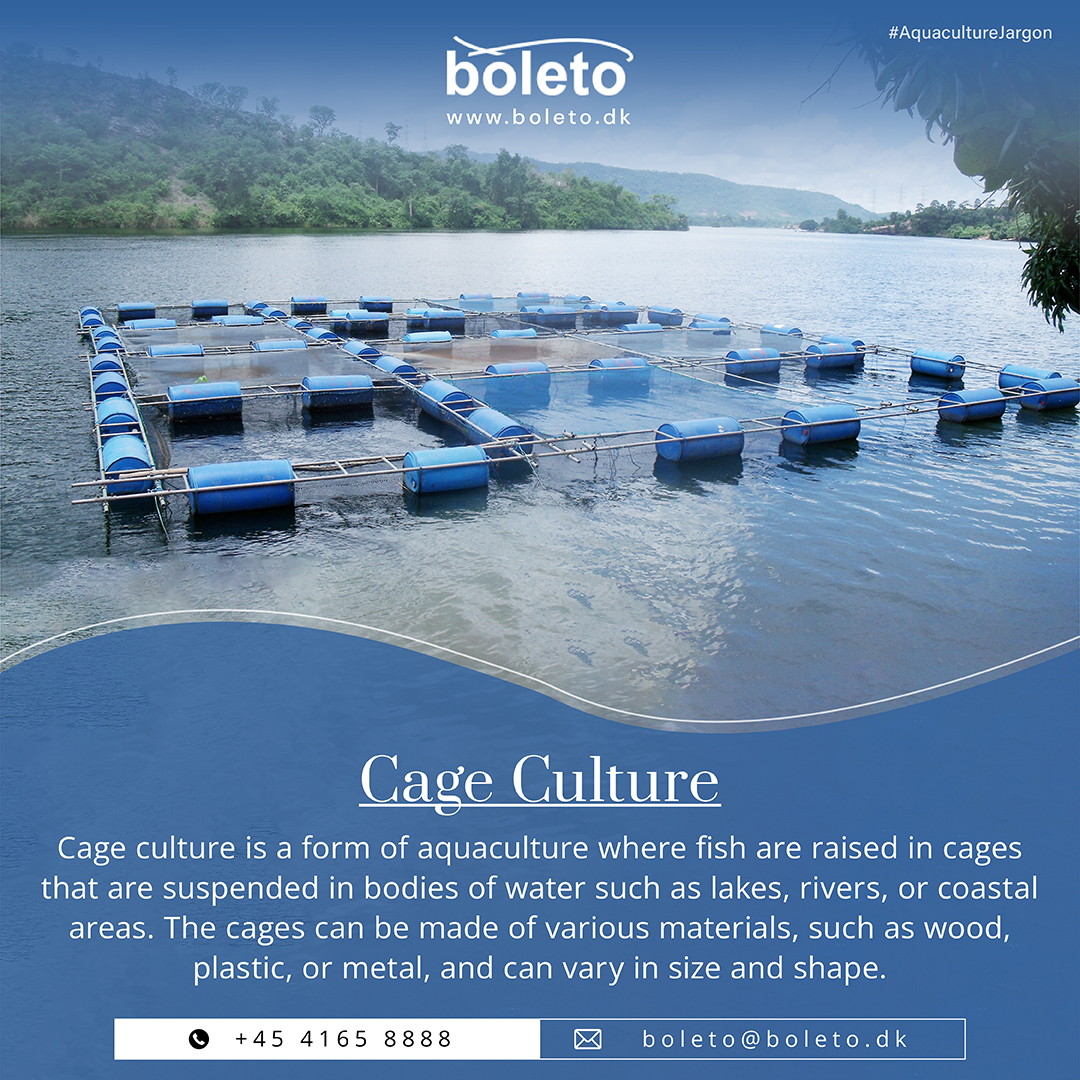 Boleto.dk - Did you know that cage aquaculture is a sustainable and ...