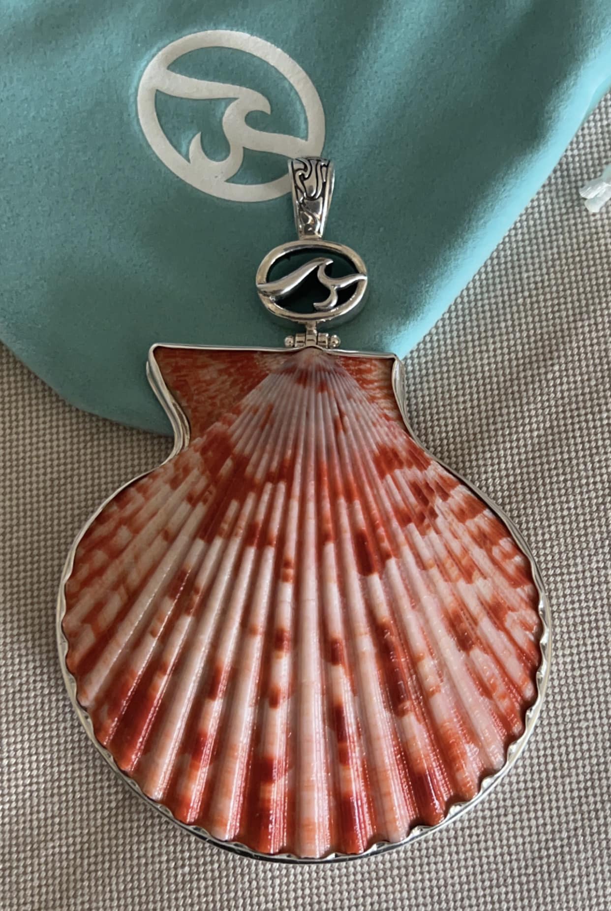 This may be the prettiest shell I have ever seen