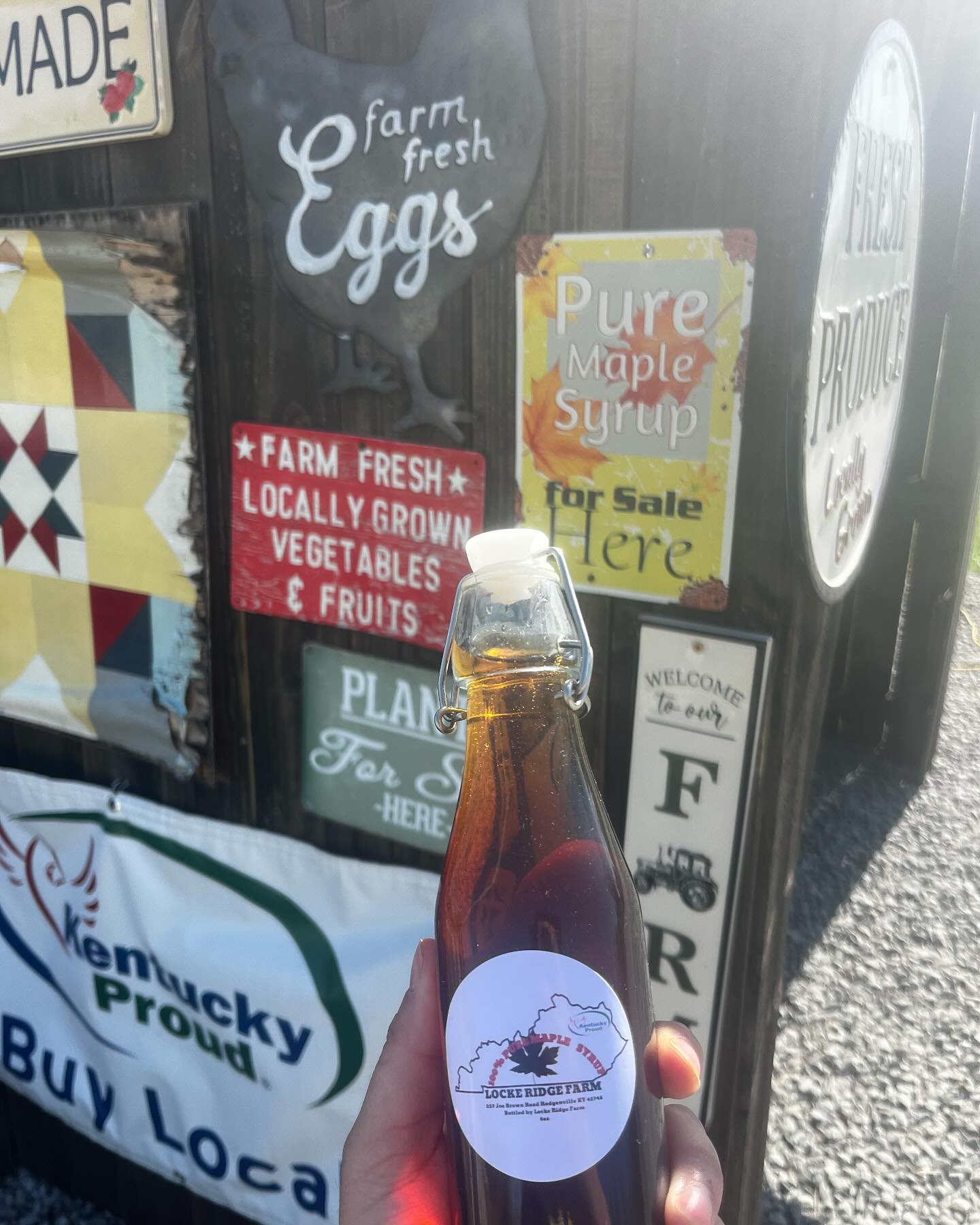 Locke - For Sale: Fresh Maple Syrup 🍁🥞🧇 • 100% pure maple syrup • No ...