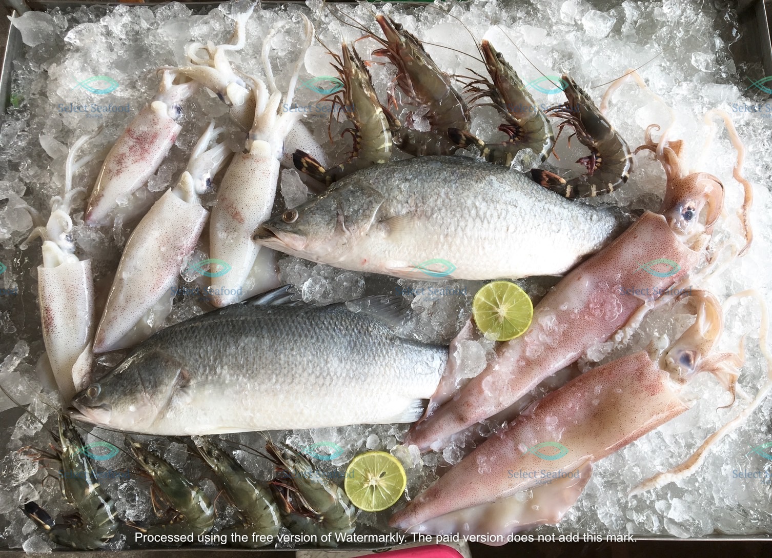 Select Seafood Source | Samut Sakhon