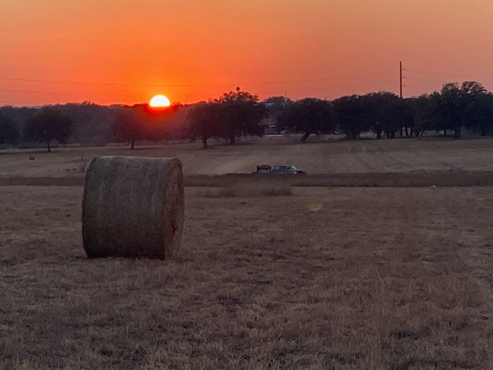 Watkins Farm Services | D'Hanis TX