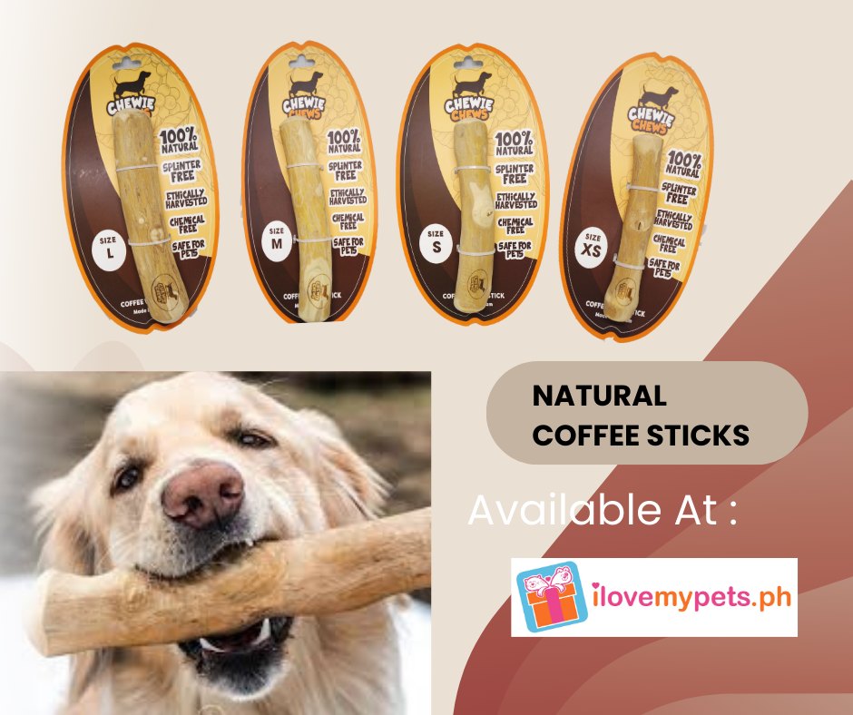 Ilovemypets.ph - Does your dog gnaw on your wood furniture? Save your ...
