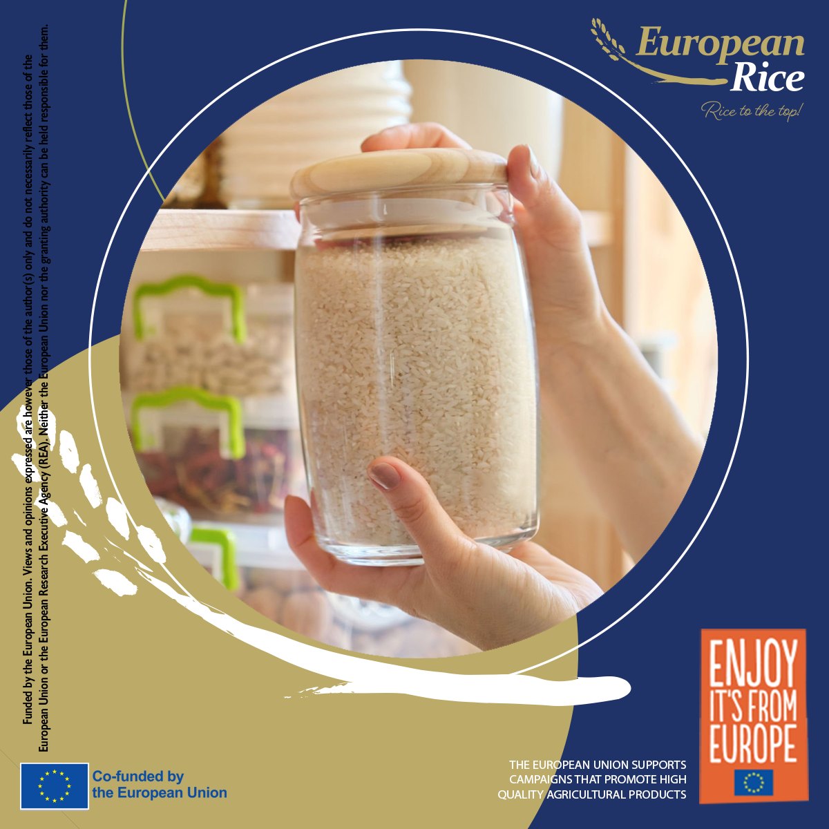 European Rice in Israel