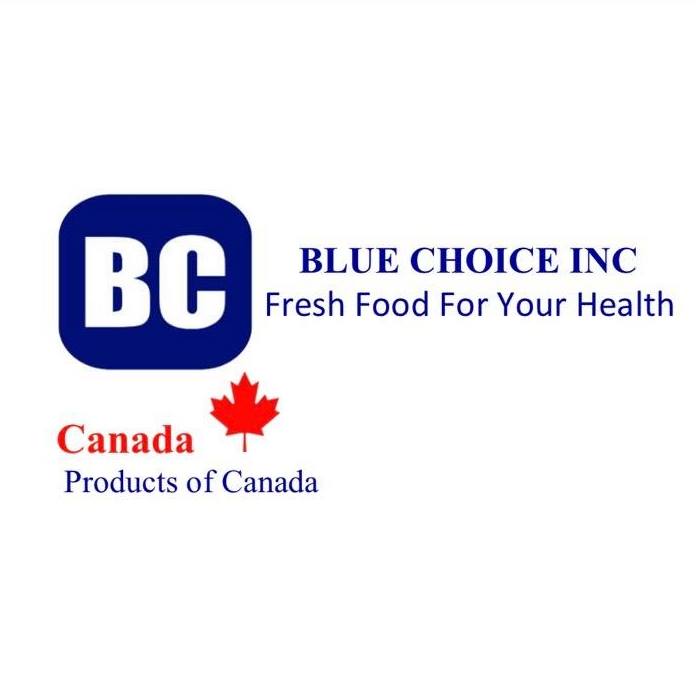 Blue Choice Inc
