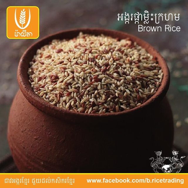 Best Rice Trading - India | Phnom Penh