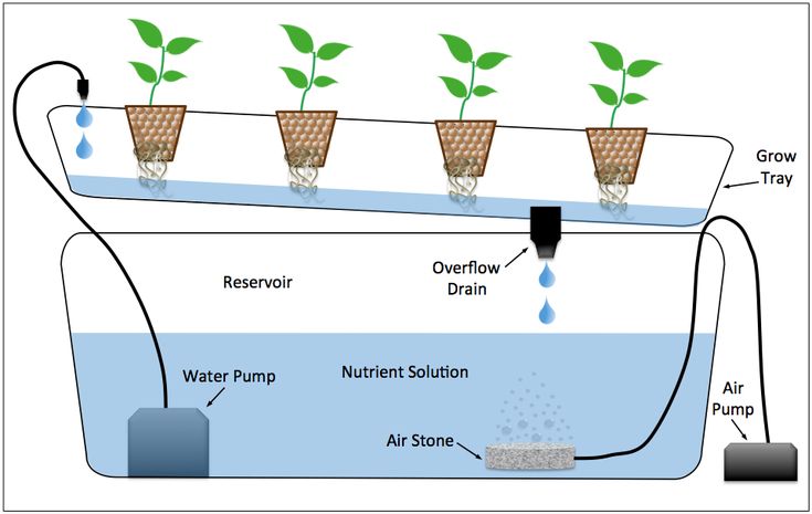 New - a hydroponic system, specifically a Deep Water Culture (DWC ...