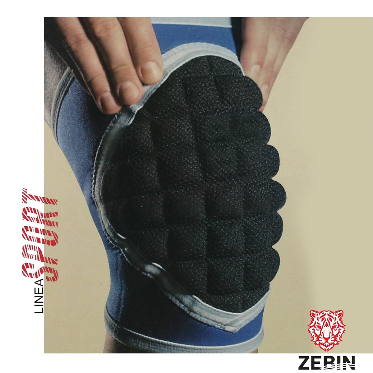 Zebin | Asunción