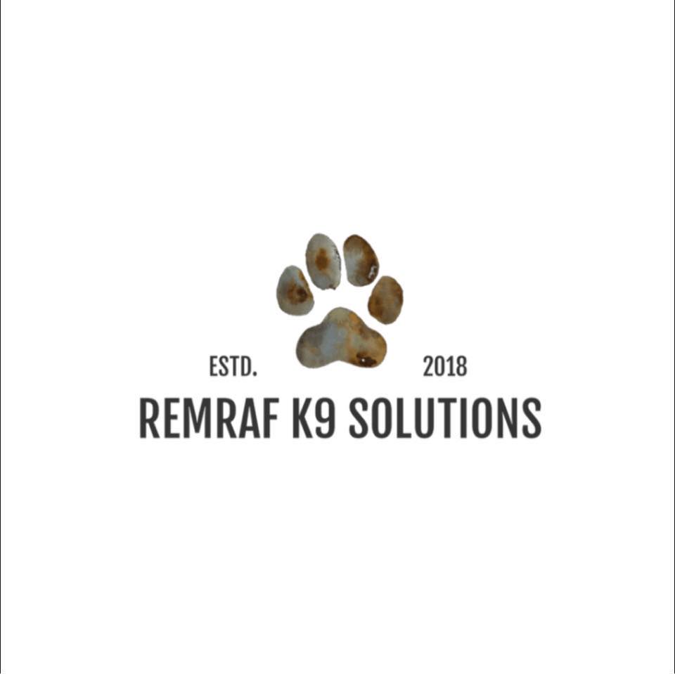 Remraf Pet Services : Dog Walking & Training | Hatfield