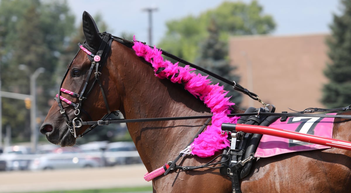 Dresden Raceway | Dresden ON