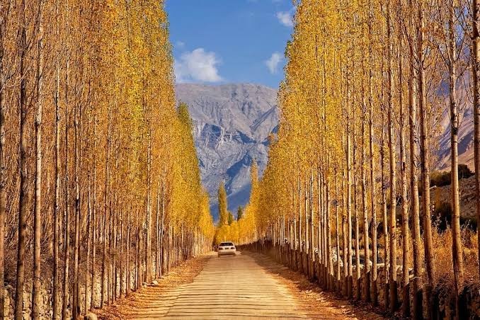 Tour De Gilgit... - Tour De Gilgit Baltistan Wild and Nature