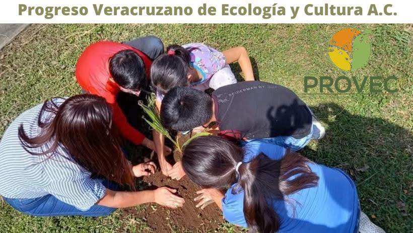 Provec | Xalapa