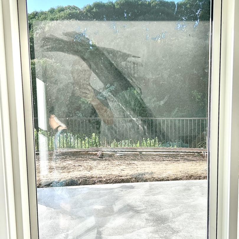 Window Ninjas - Check out what a professional window clean... | Facebook