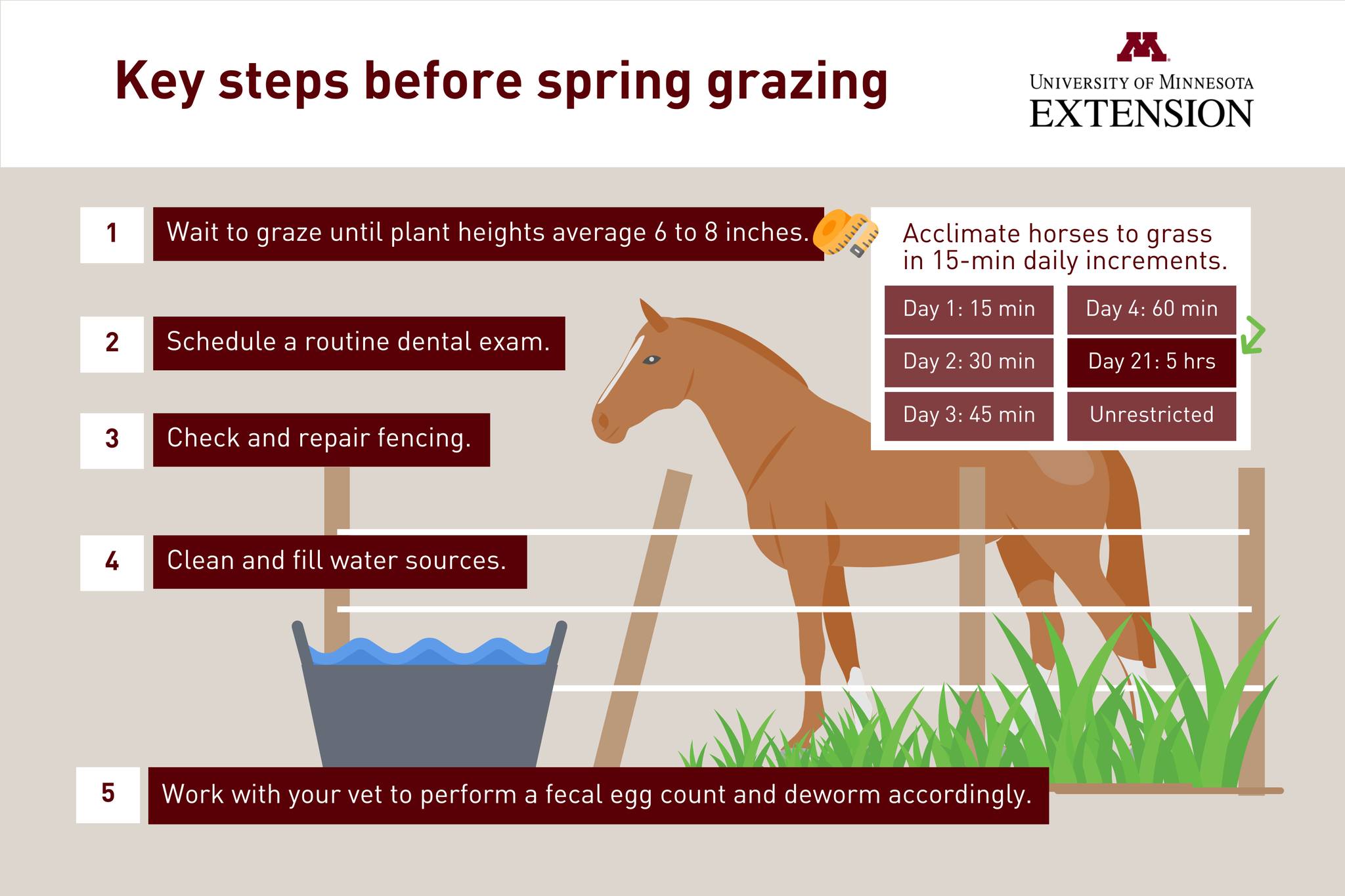 Balancing Grazing Schedule With Daily Routine
