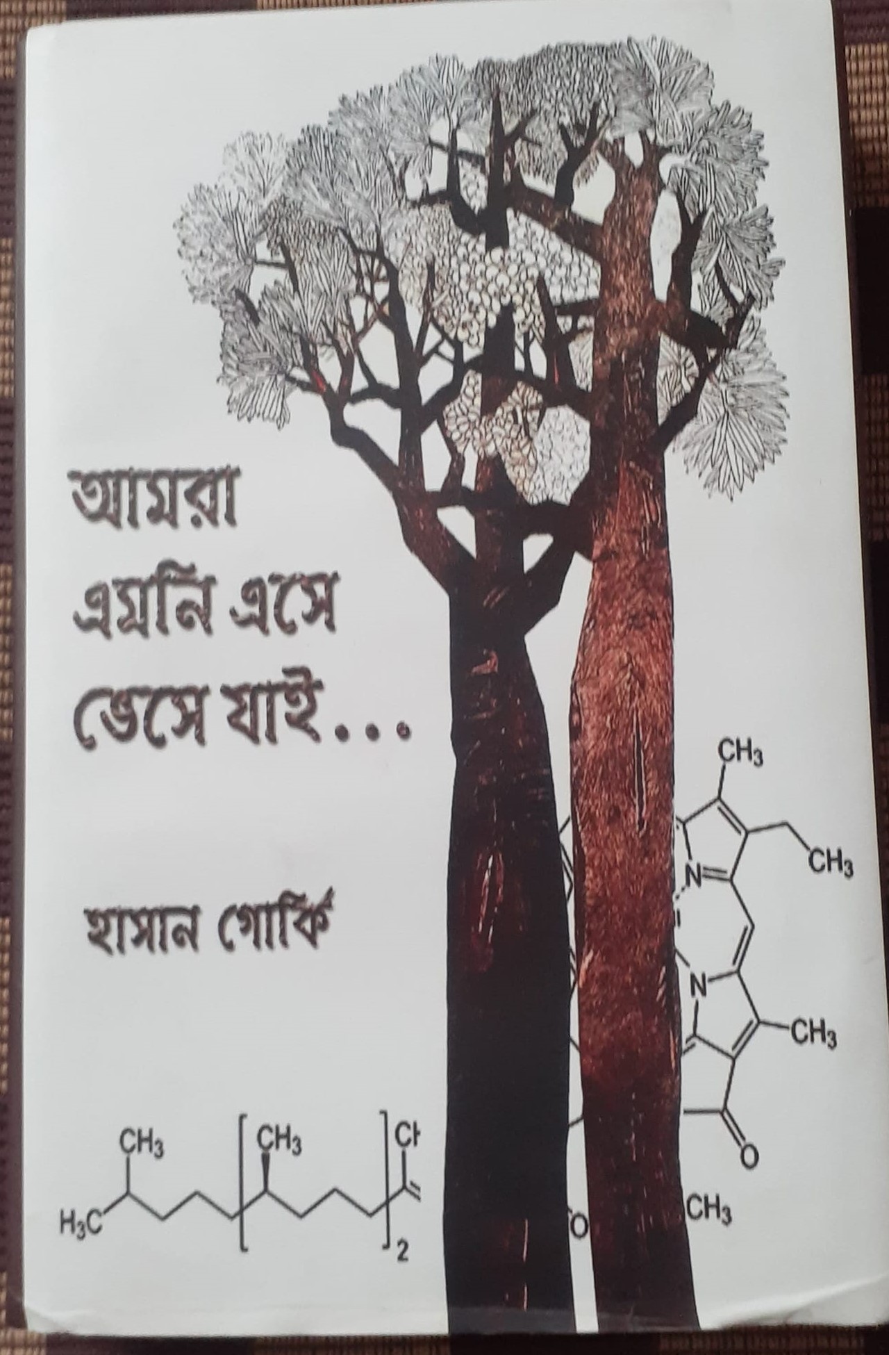Asm Sayem Robi