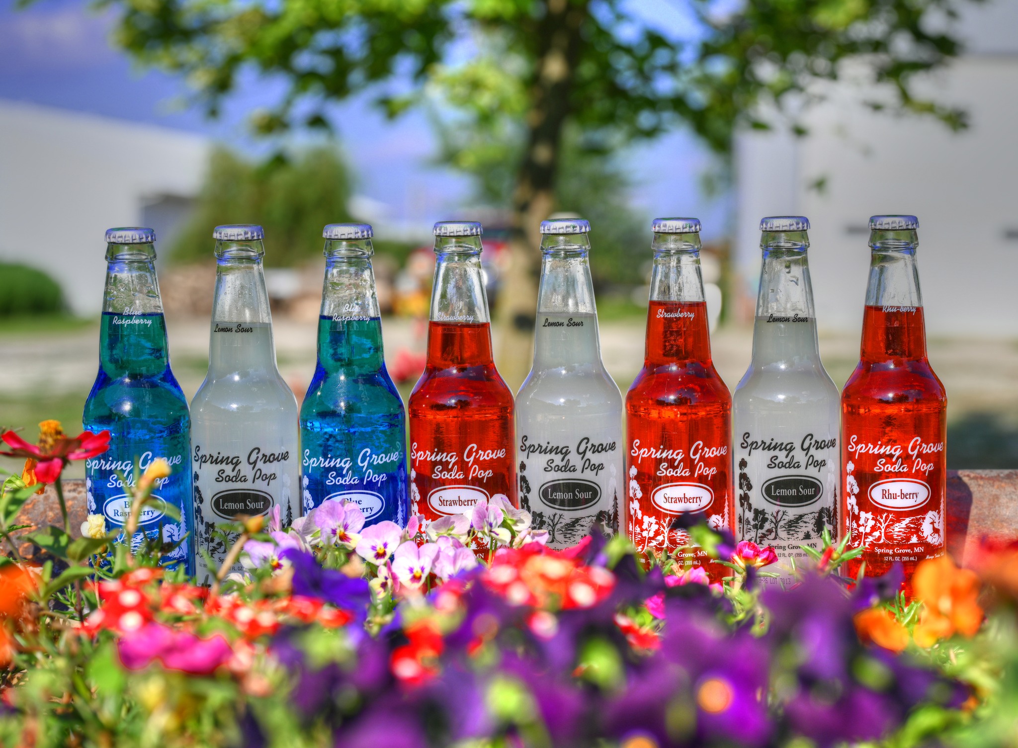 Spring Grove Soda Pop, Inc.