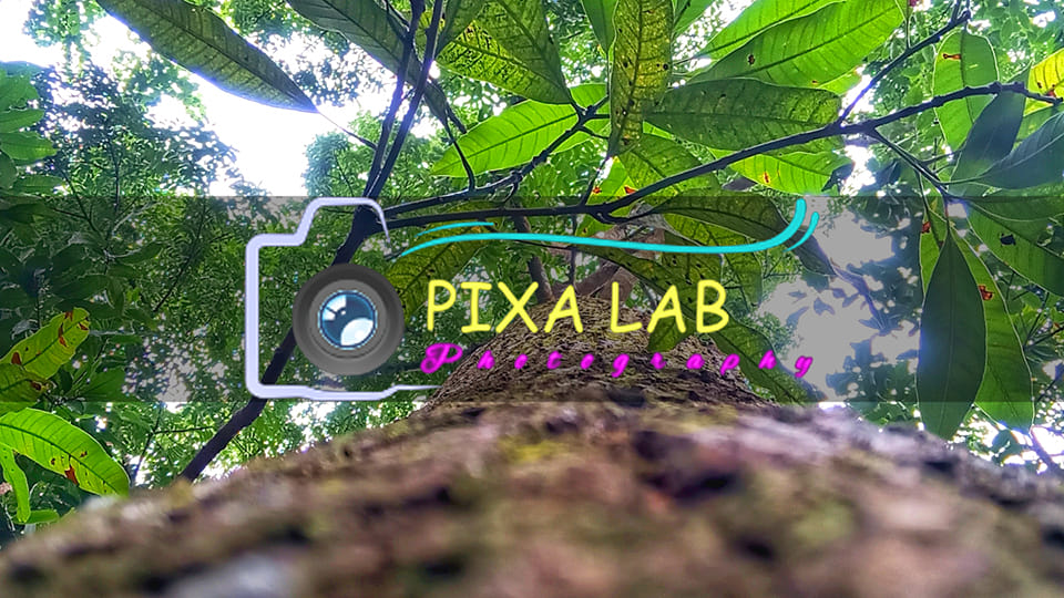 PIXA LAB