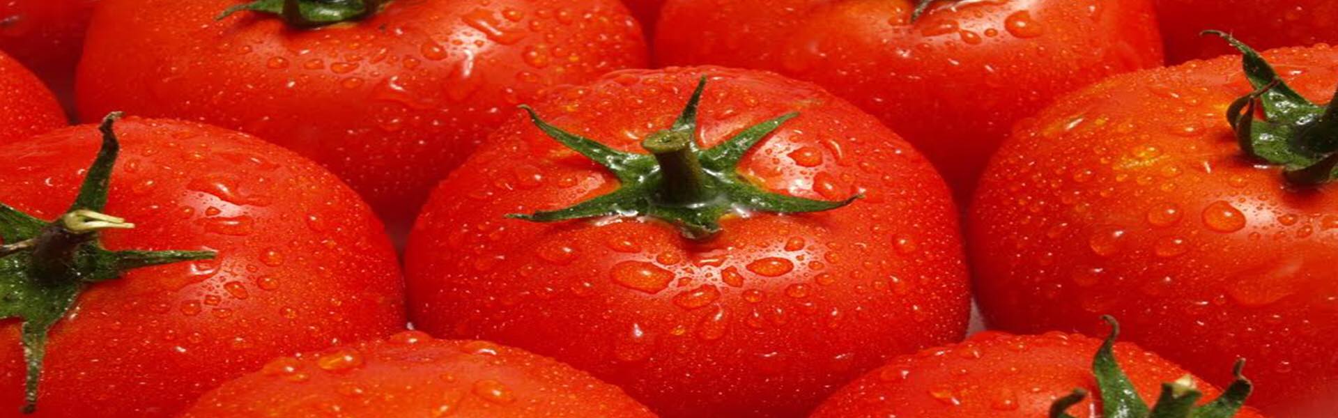Marina STP - Venha exprimentar a massa de tomate mais...