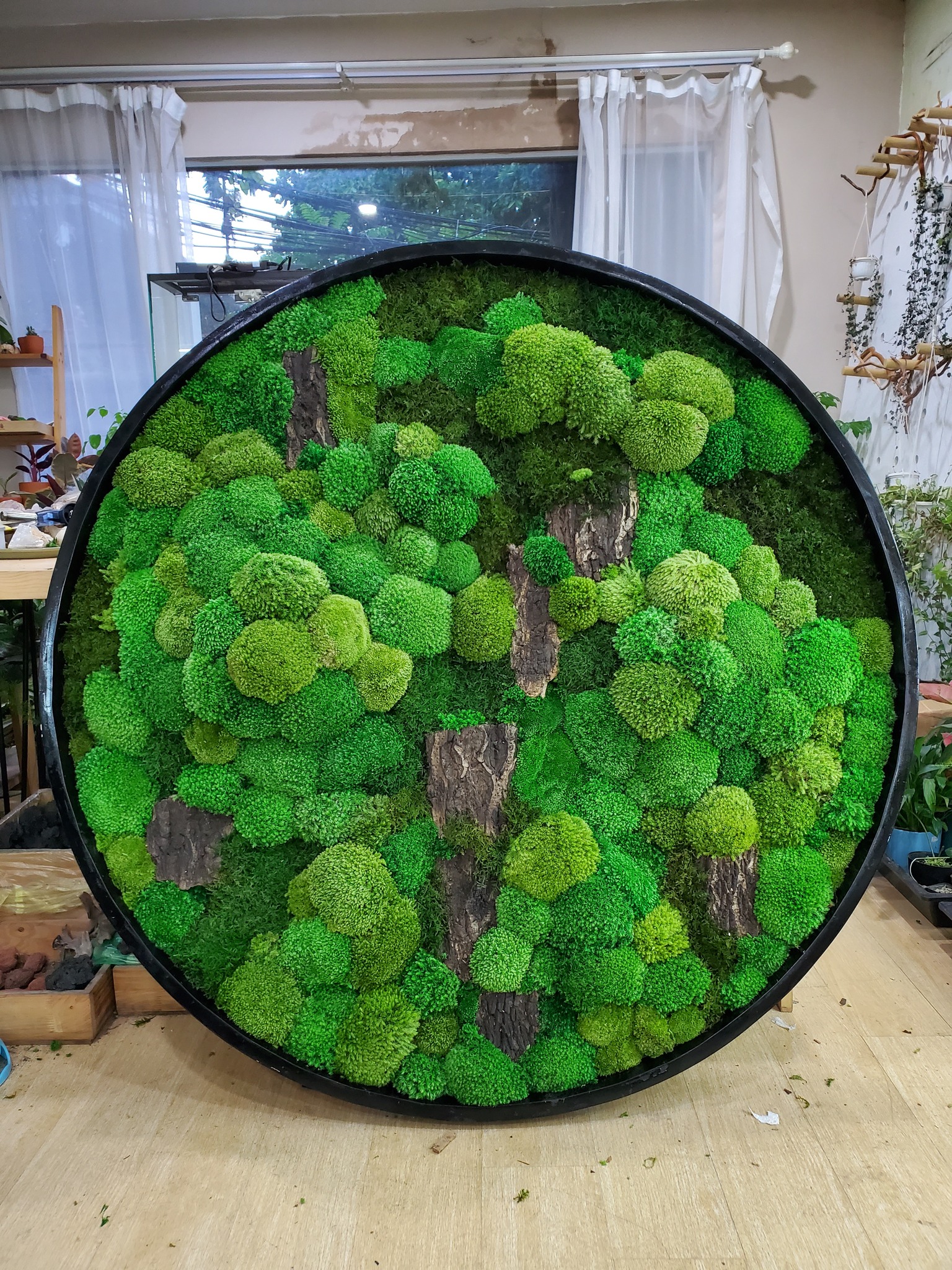 The Rare Rium - Plant &... - The Rare Rium - Plant & Moss Art