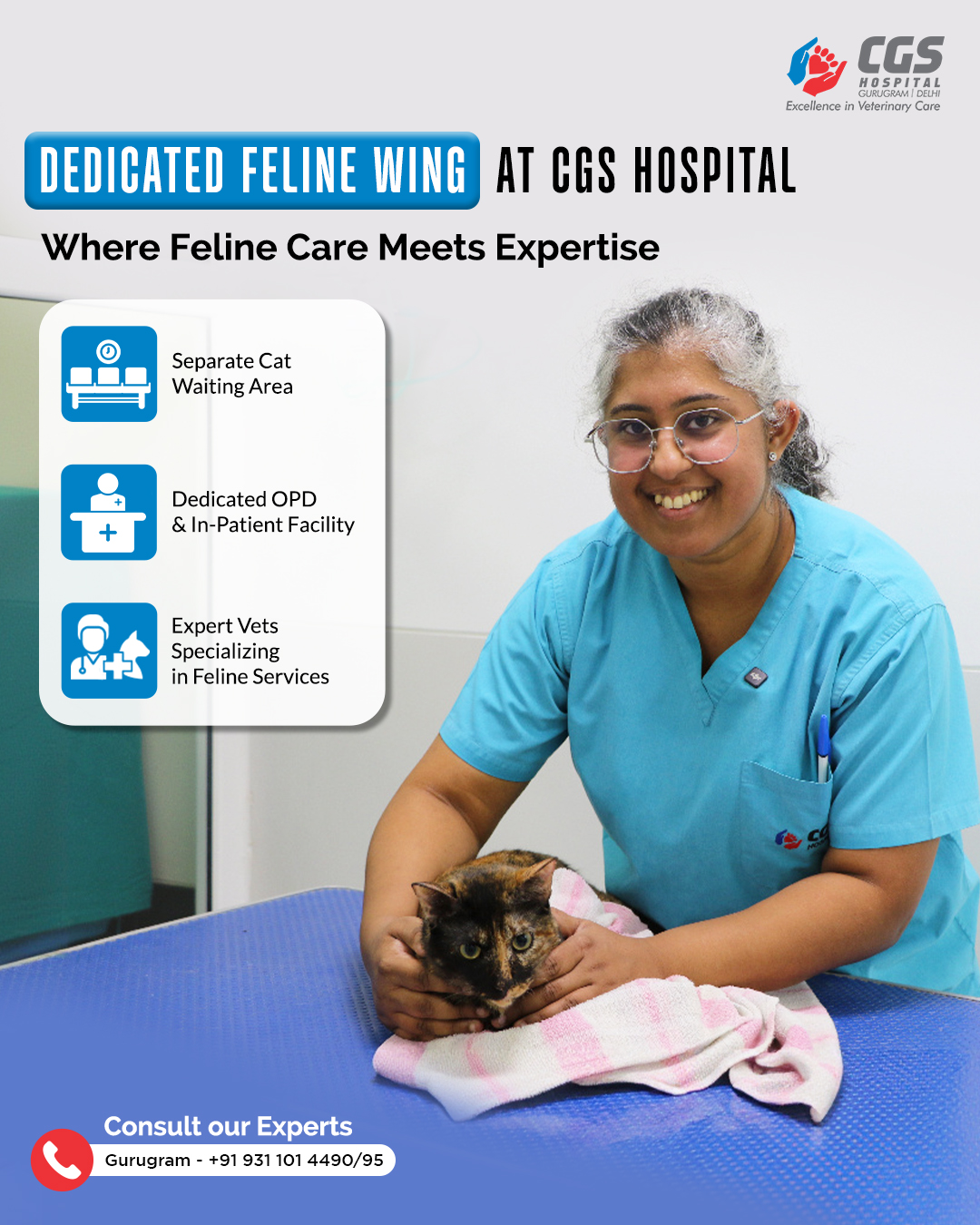 CGS - Attention cat parents! 🐱 CGS Hospital is proud to announce ...