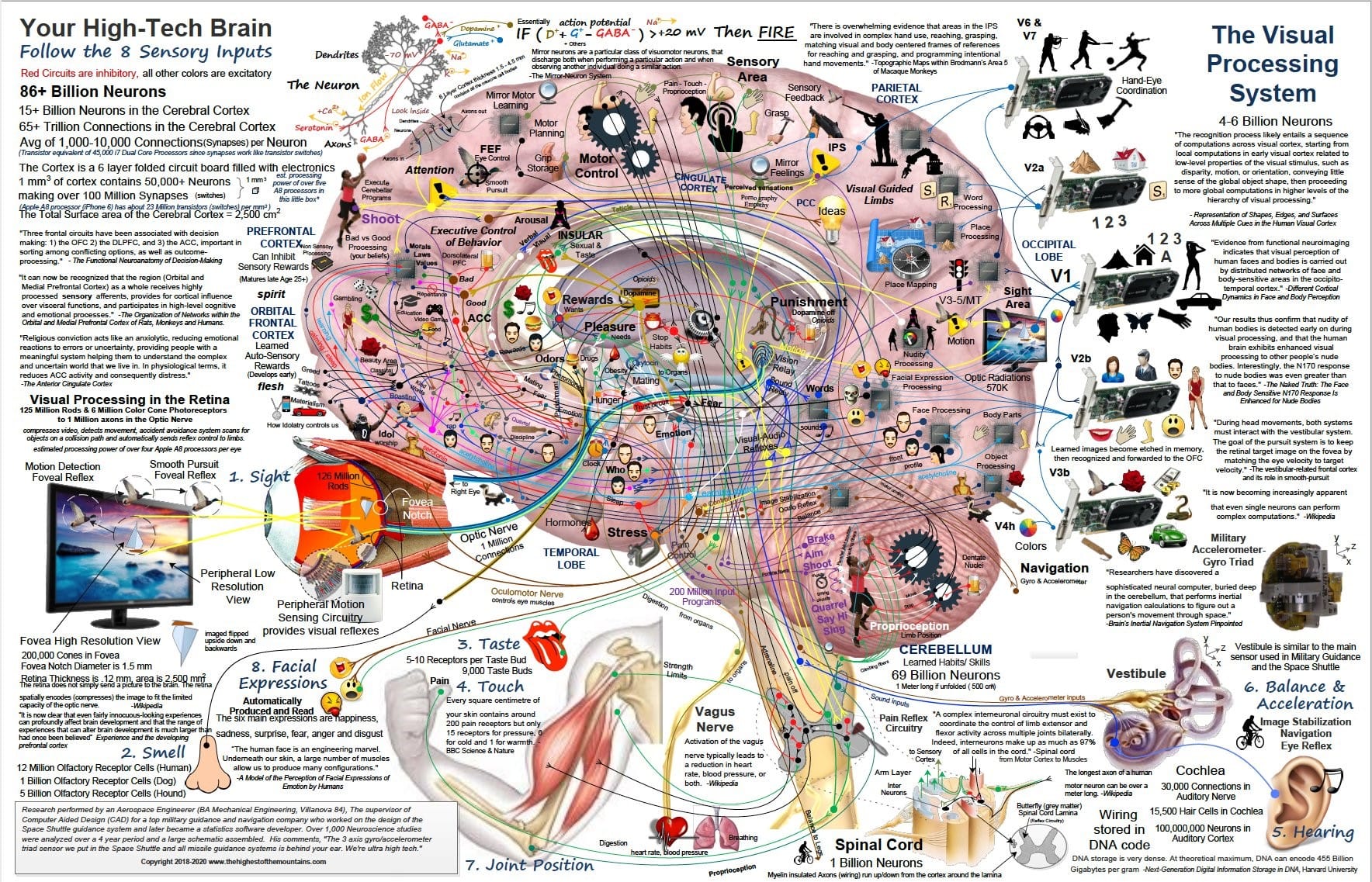 ICT learner - The complexity of the human brain and its... | Facebook