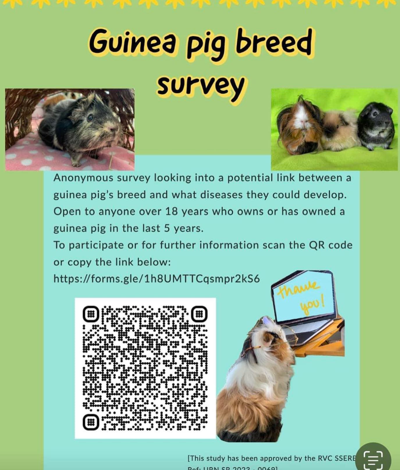 The Rodent Ranch | Barnet
