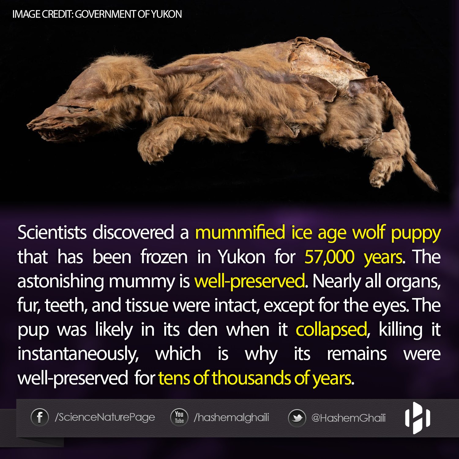 Hashem - Cool discovery! Learn more: - https://bit.ly/2LQAsH8 - https ...