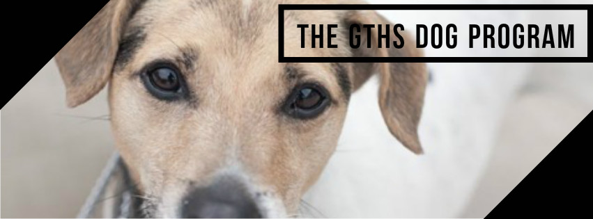 GTHS Dog Program | Collingwood ON