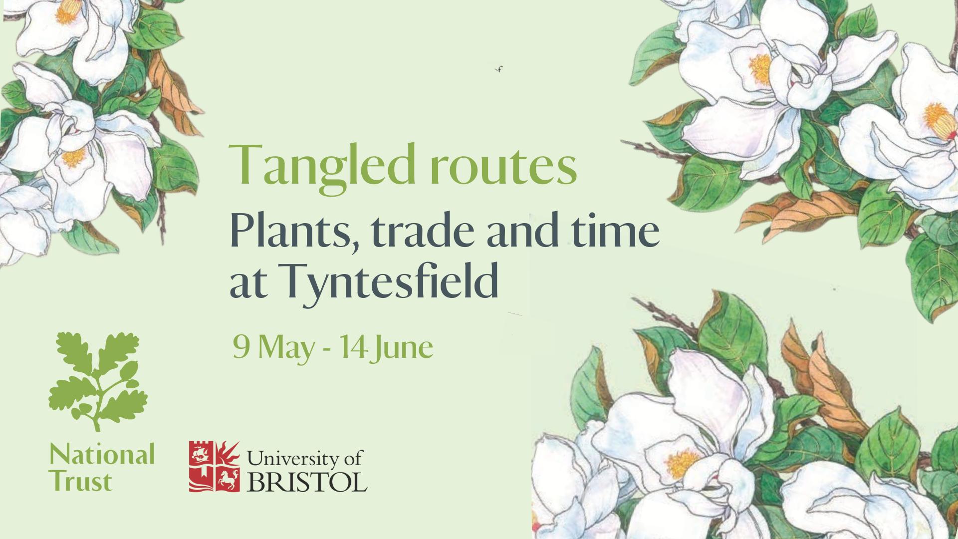 Tangled routes: plants, trade and time at Tyntesfield