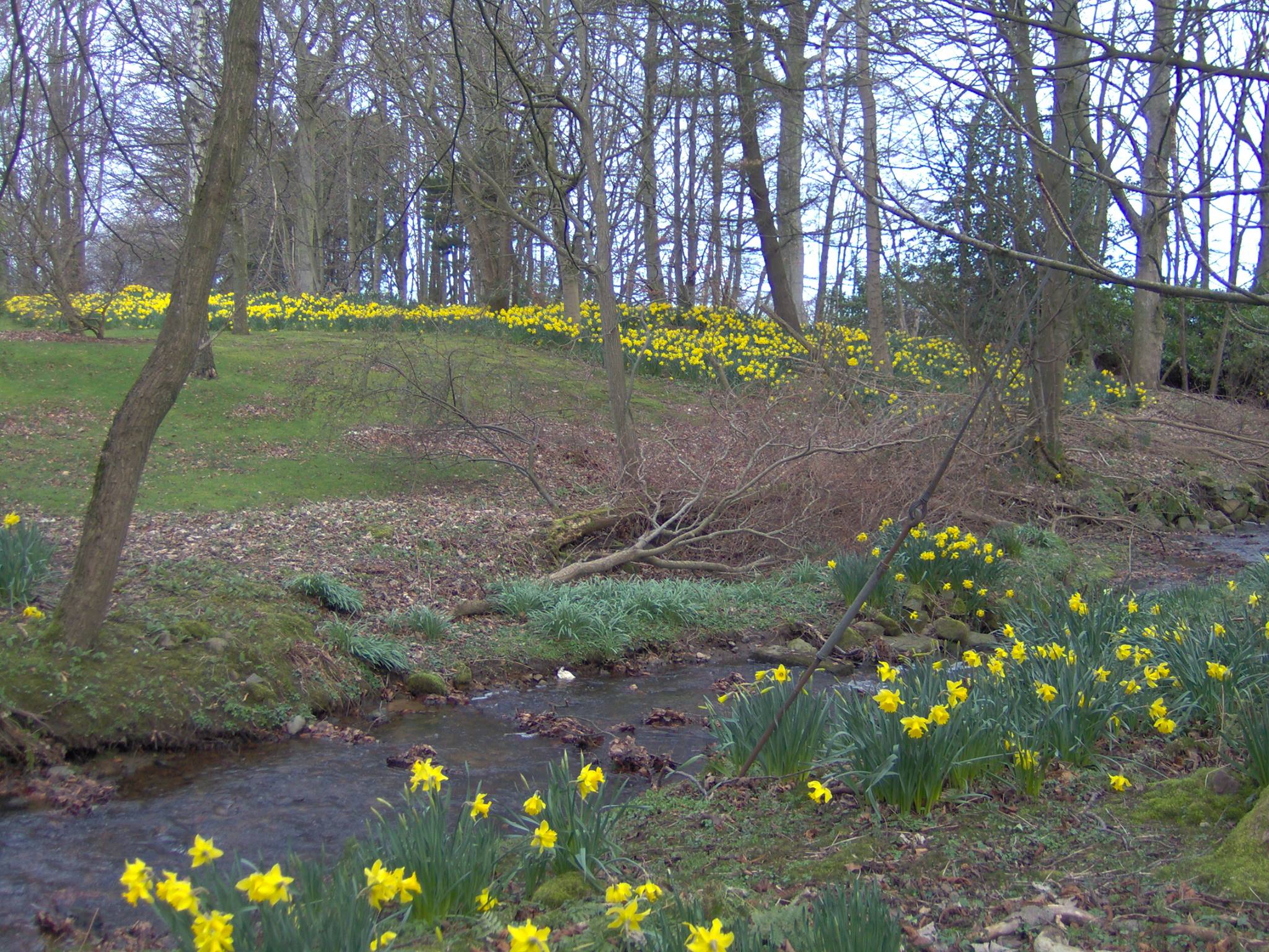 Craibstone Estate, Aberdeen | Aberdeen