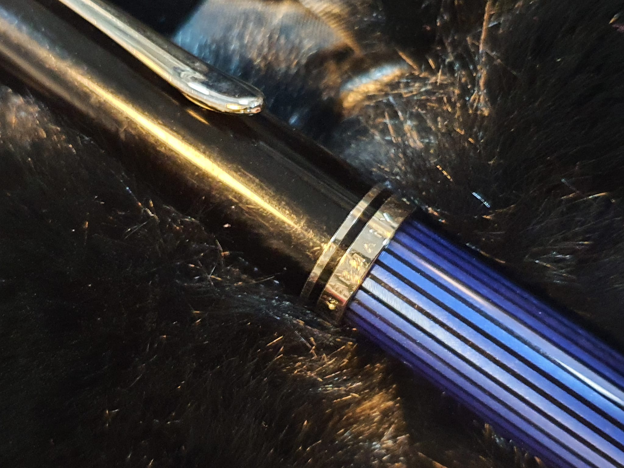 Pelikan Souveran M600 14C fountain pen