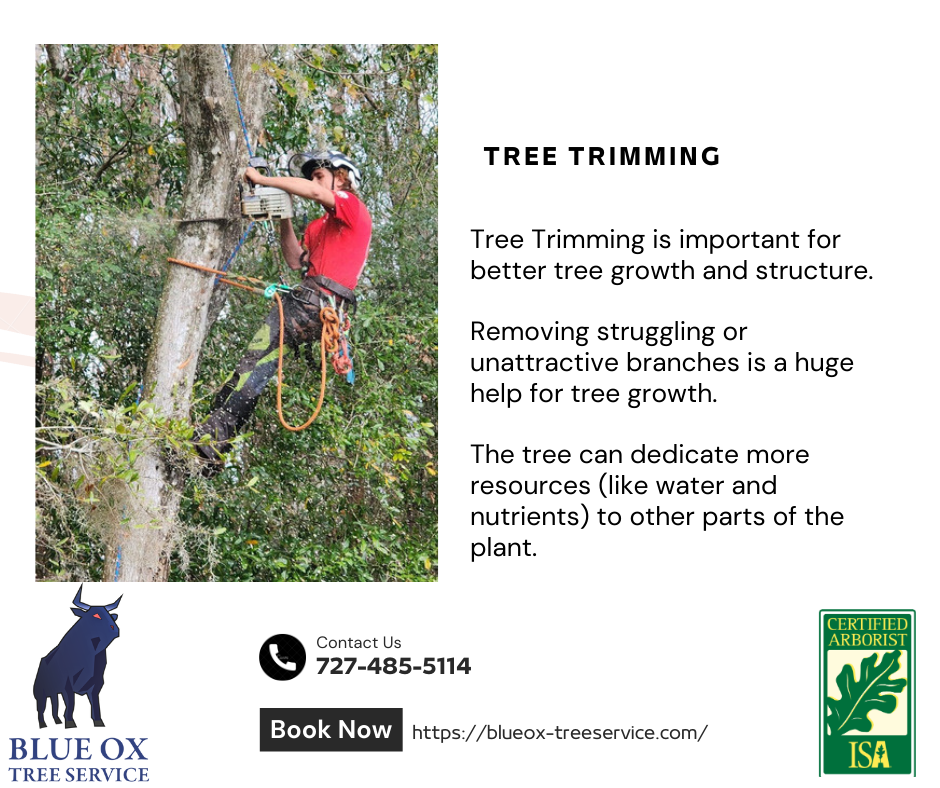 Blue Ox Tree Service