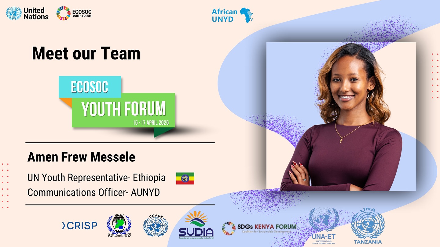 African UN Youth Delegates - AUNYD