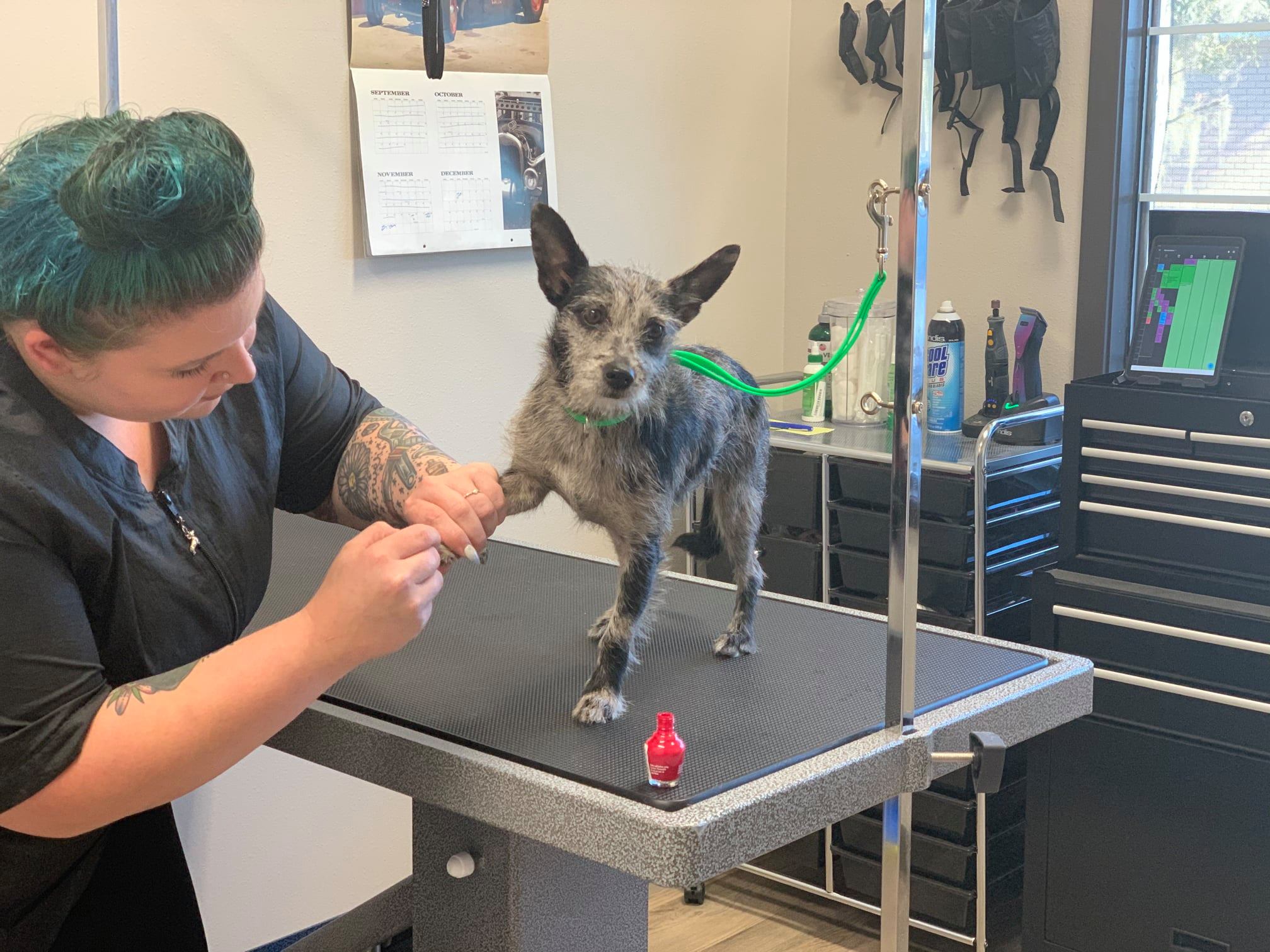 ** Please help us welcome our... - Fox Creek Animal Hospital | Facebook