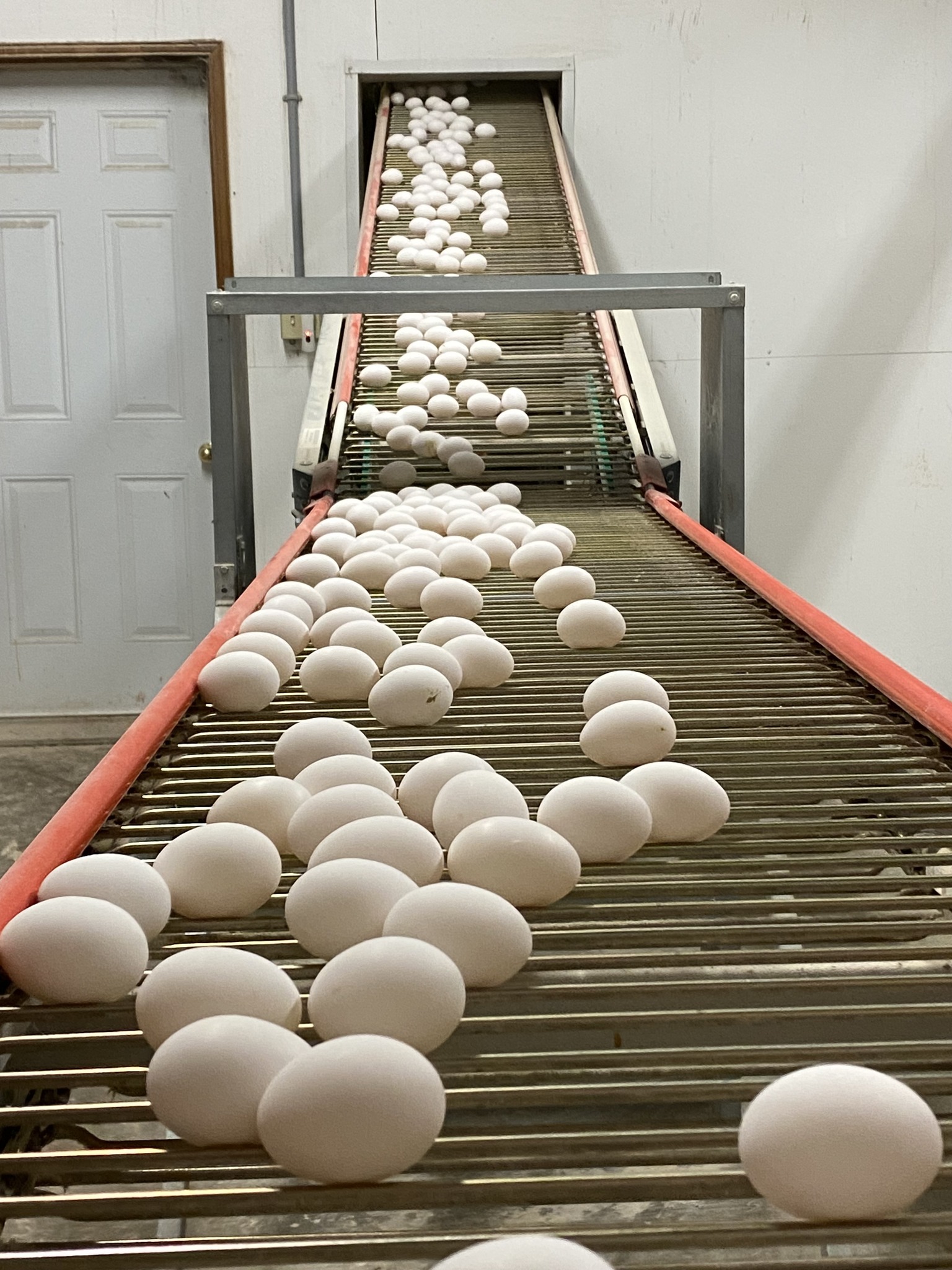 Dunphy Farms | Mouth of Keswick NB
