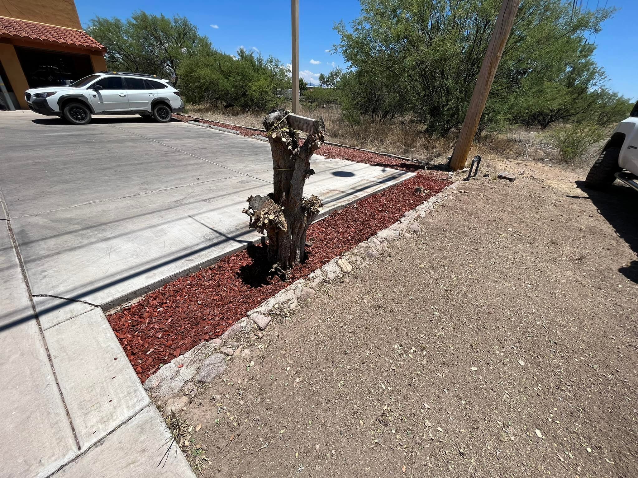 Rvrx Landscaping | Rio Rico AZ
