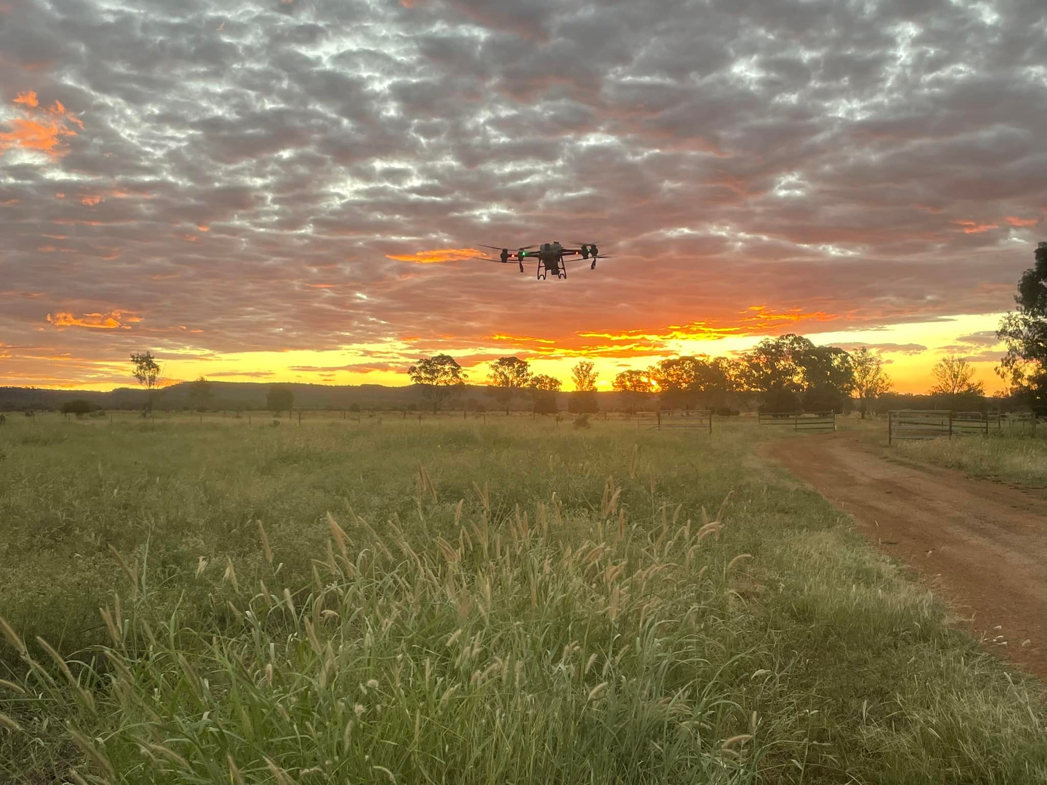 Hutchinson Grazing