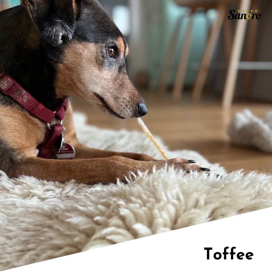 reis hundefutter gekochtes Frische-Men Kaninchen mit Reis
