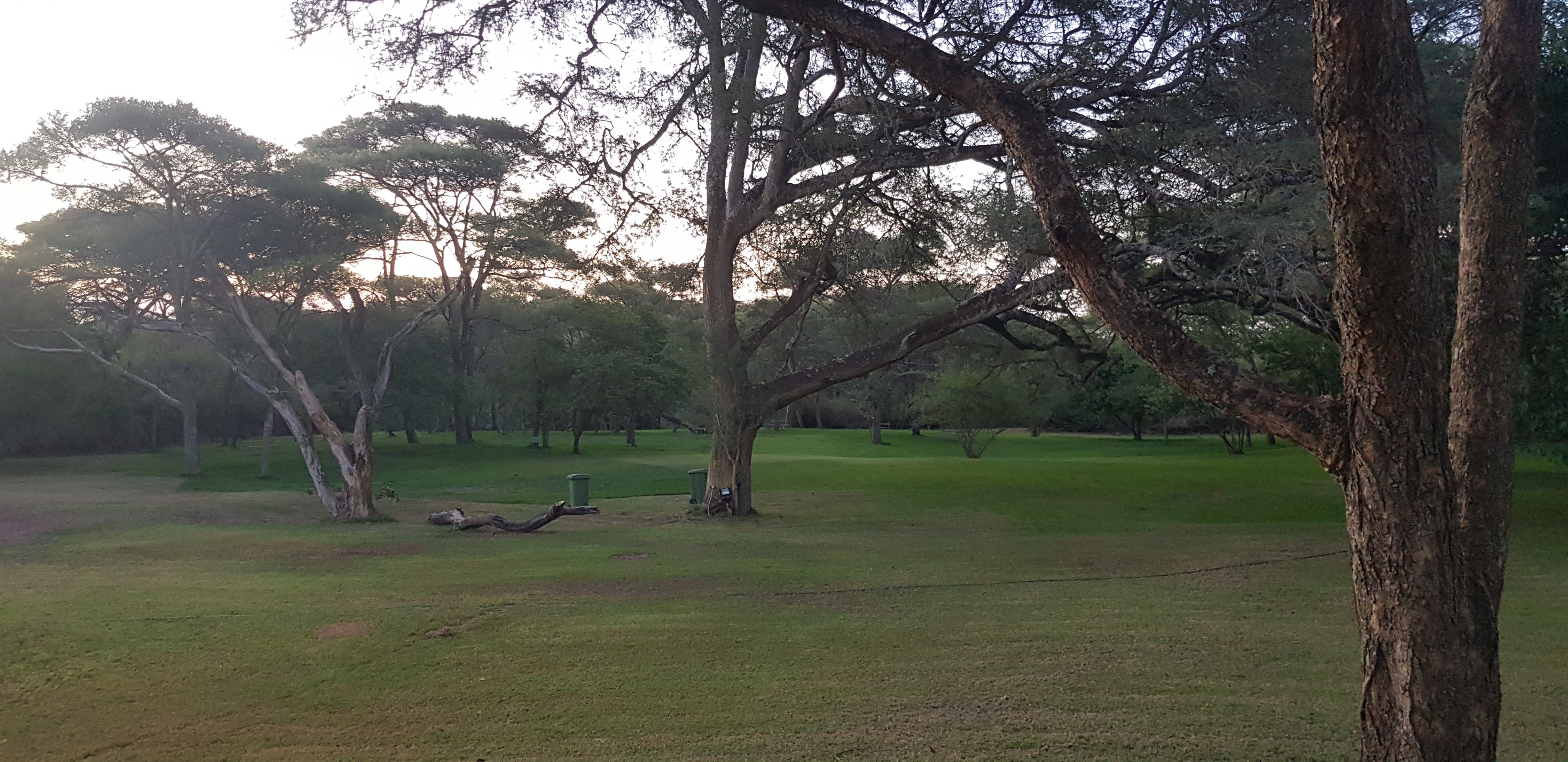 Muka Munya Club & The Monkey Pools | Lusaka