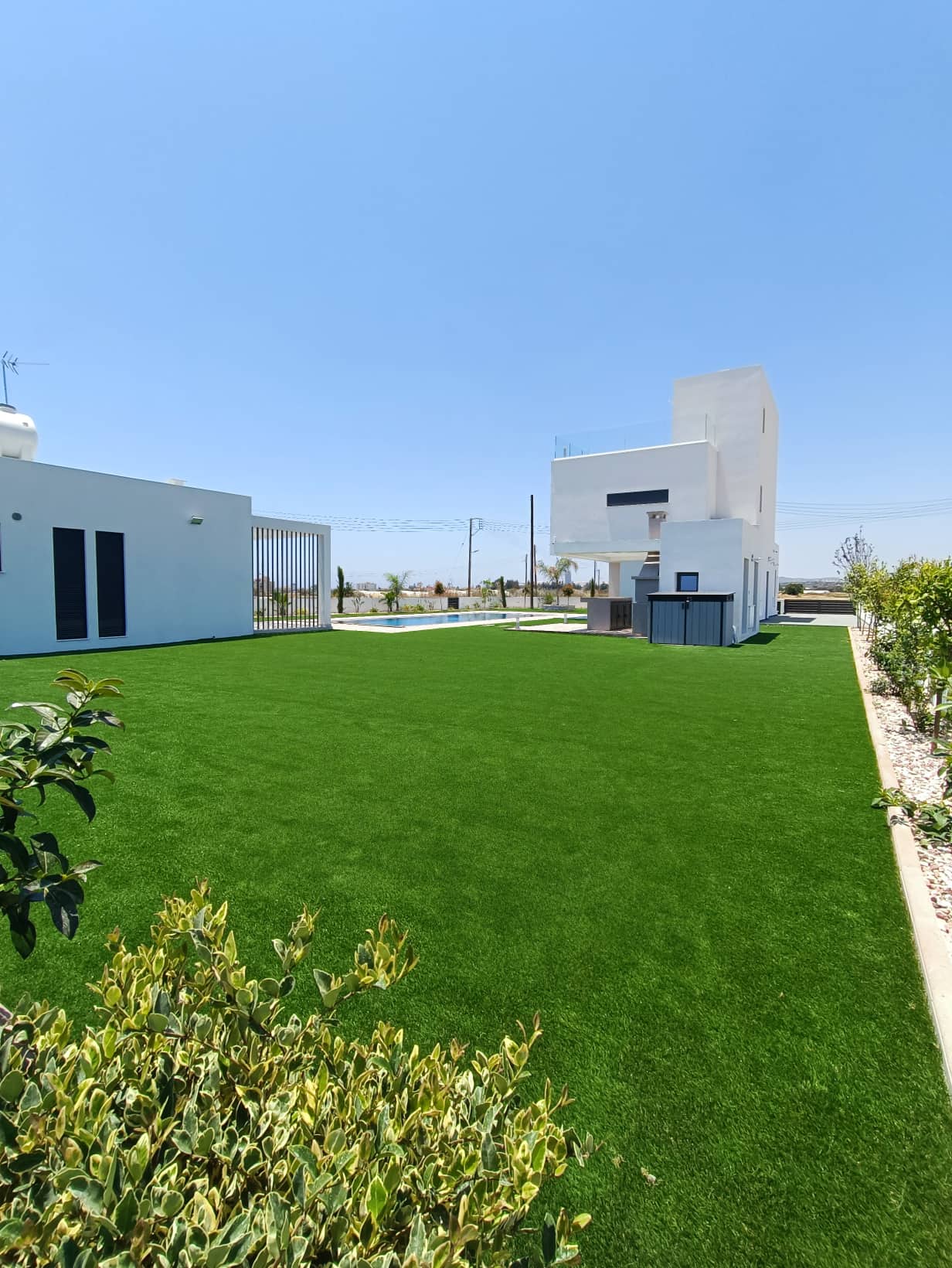 Cyprus Home Grass