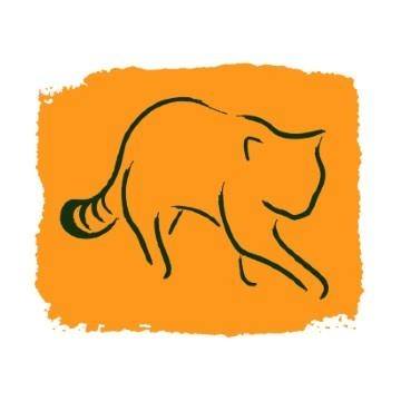 Saving Wildcats - Intriguing new insights into wildcat... | Facebook
