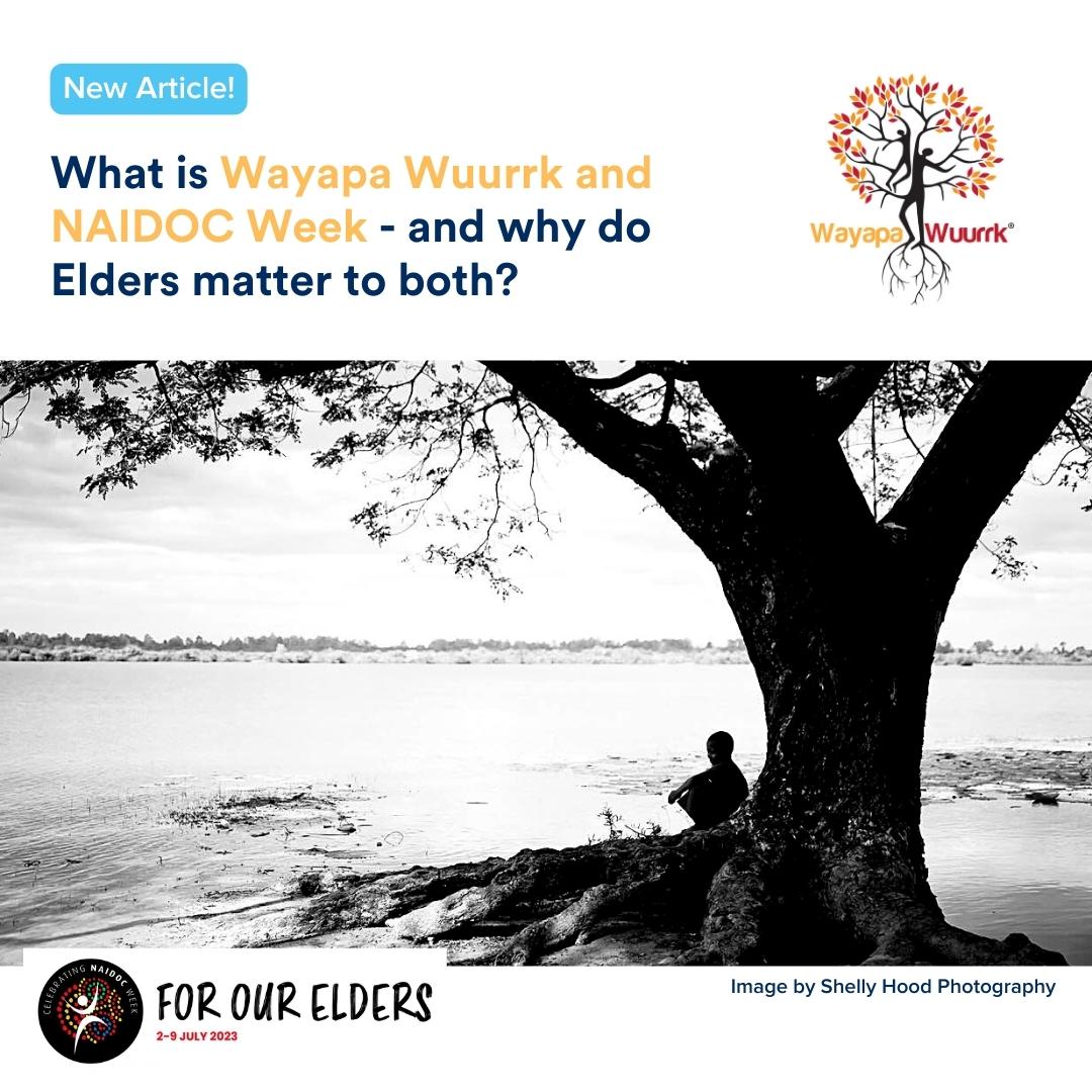 🖤💛 ️ NAIDOC Week is a designated time in Australia when we honour and ...