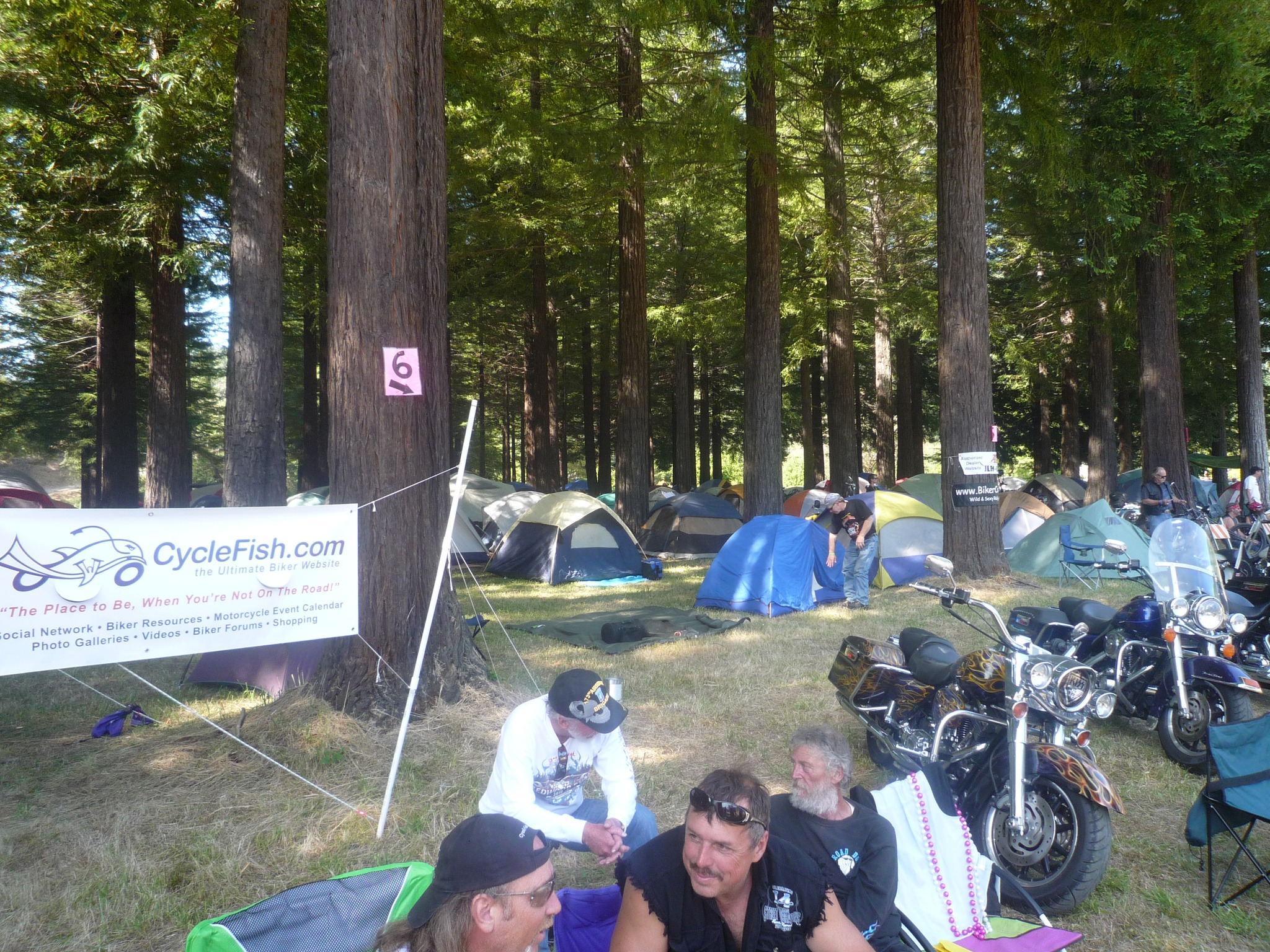 More memories... - CycleFish - Motorcycle Resource & Network | Facebook