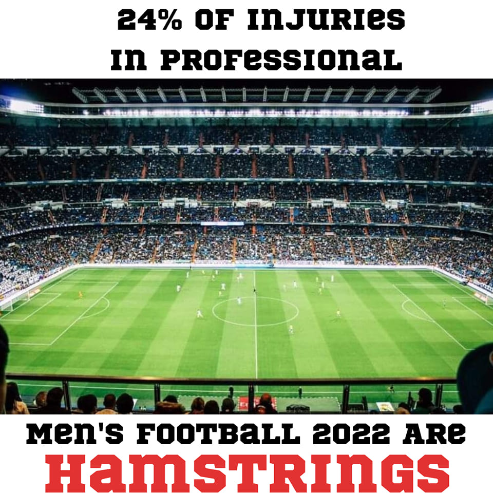 St.Catharines - ⚠️ Hamstring injury rates in men's professional ...