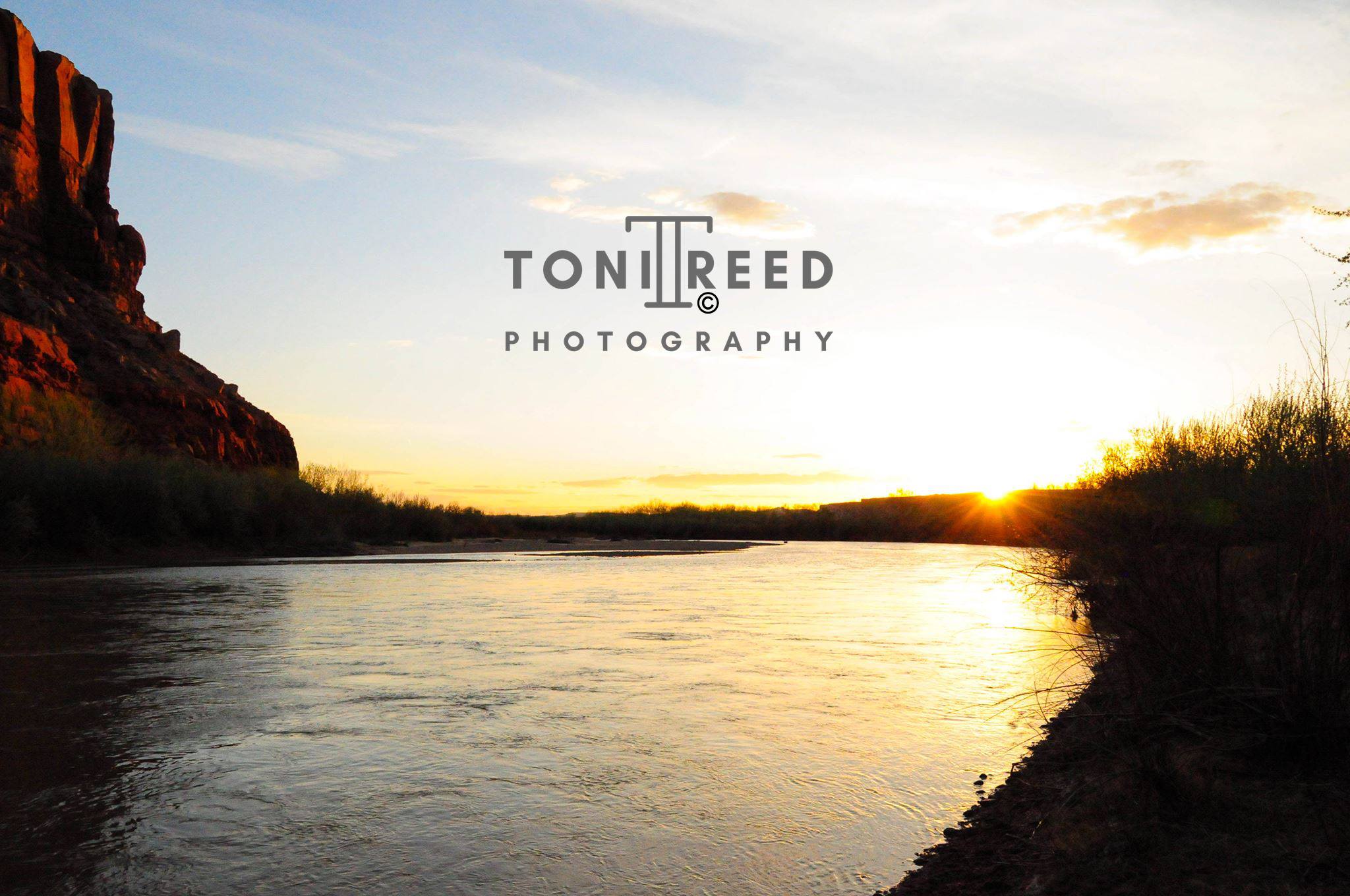 Toni Reed