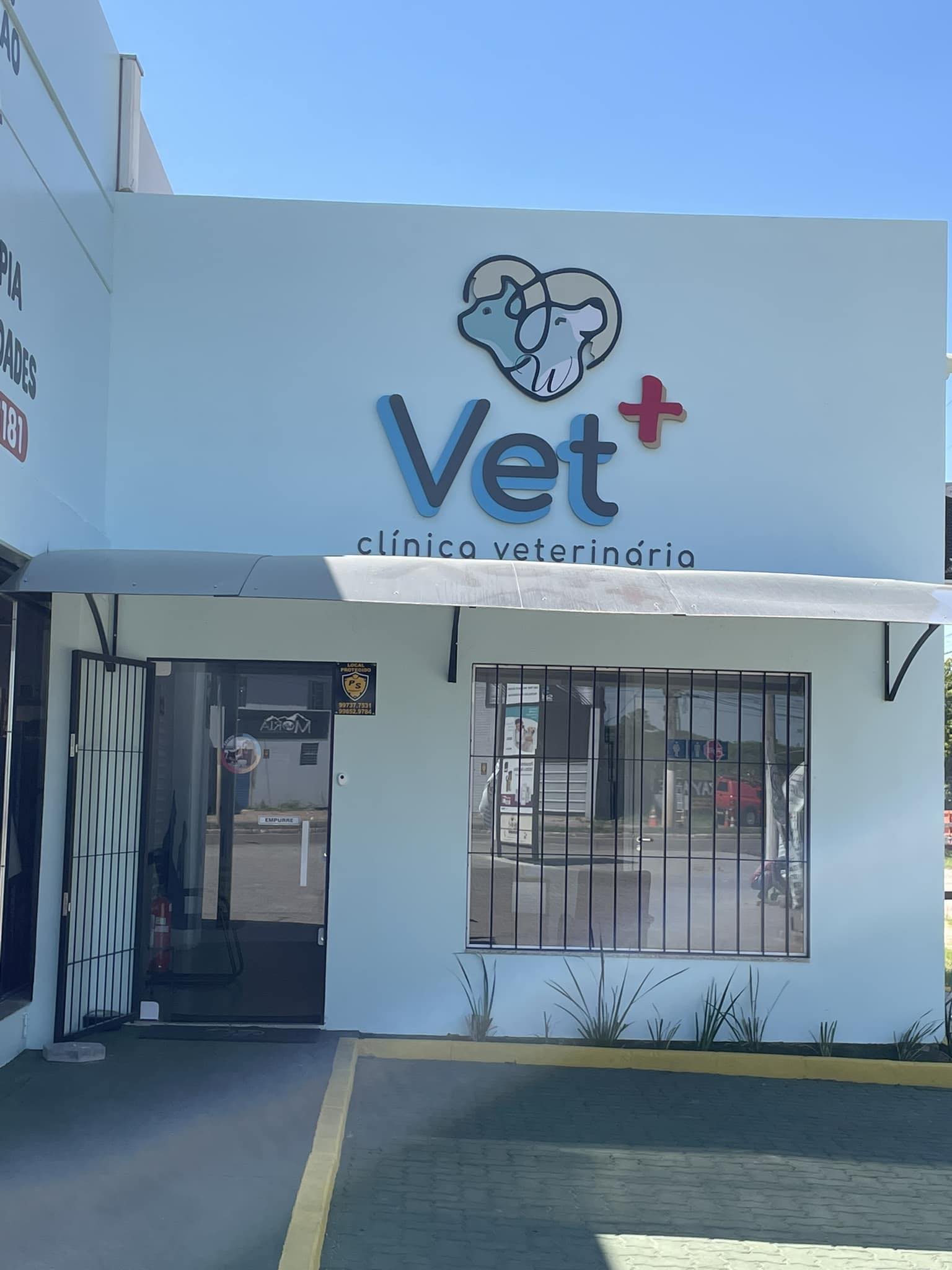 M. Veterinária Andressa... - M. Veterinária Andressa Mendes